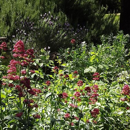 Bed and Breakfast Backyard Garden Oasis Middletown Exterior foto