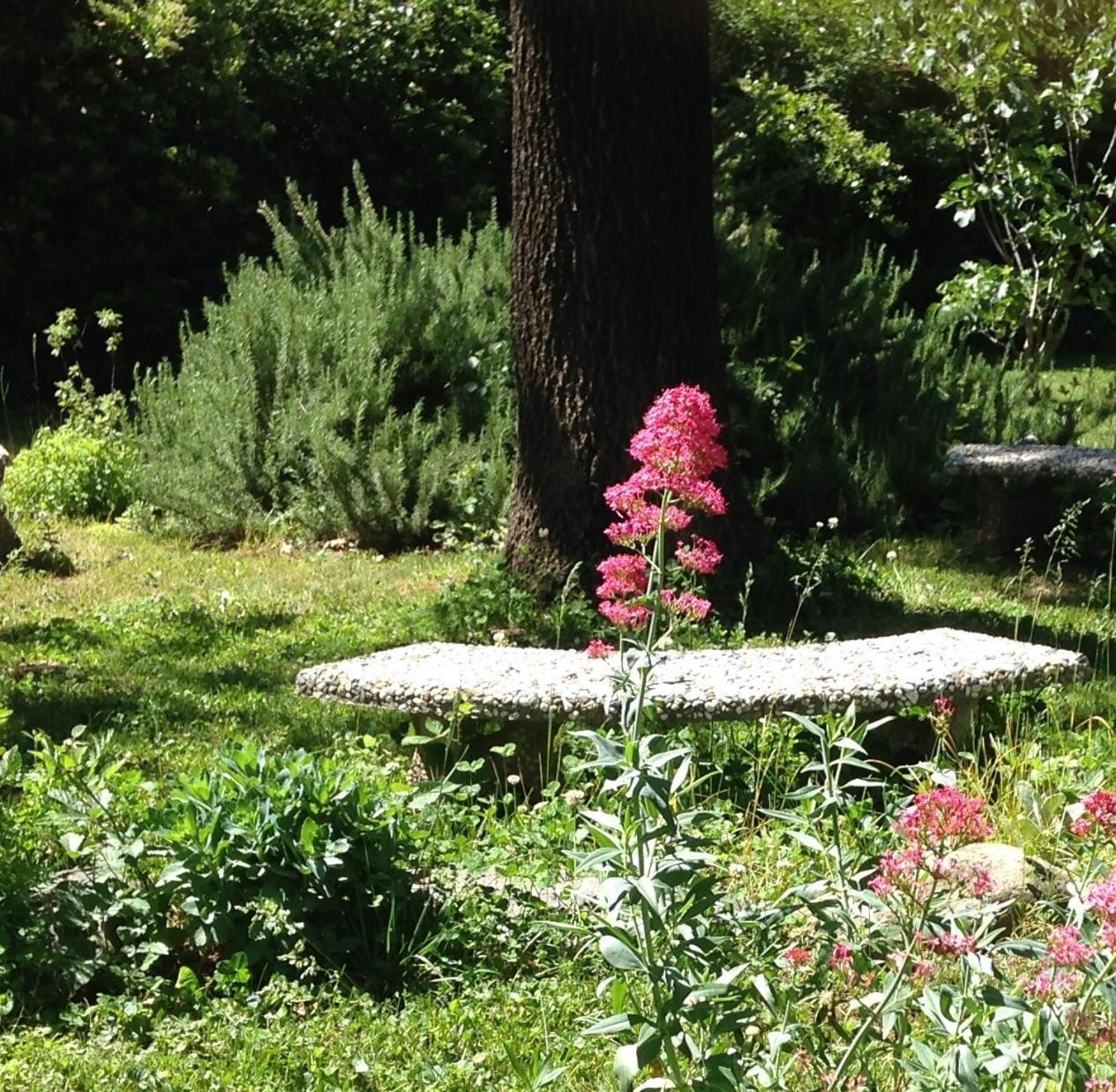 Bed and Breakfast Backyard Garden Oasis Middletown Exterior foto