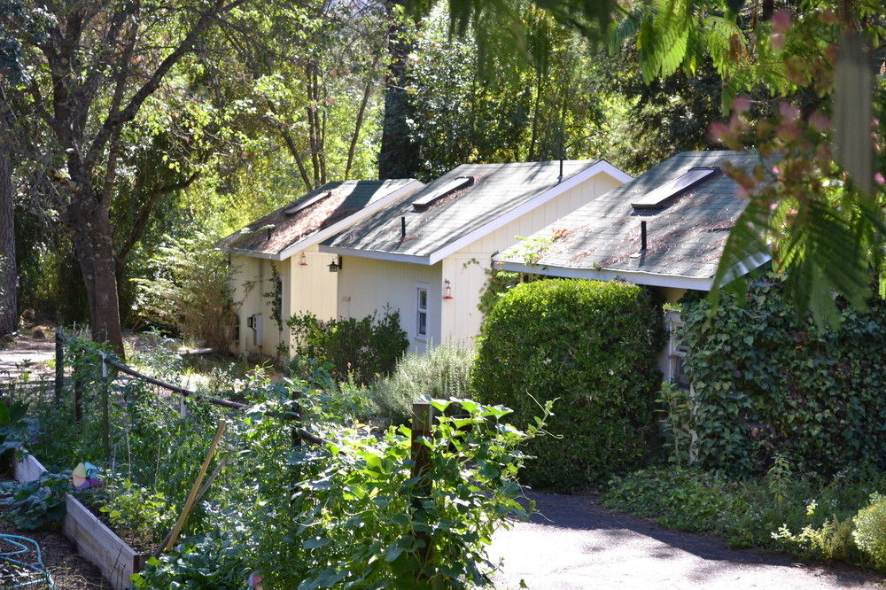 Bed and Breakfast Backyard Garden Oasis Middletown Exterior foto