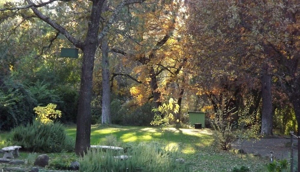 Bed and Breakfast Backyard Garden Oasis Middletown Exterior foto