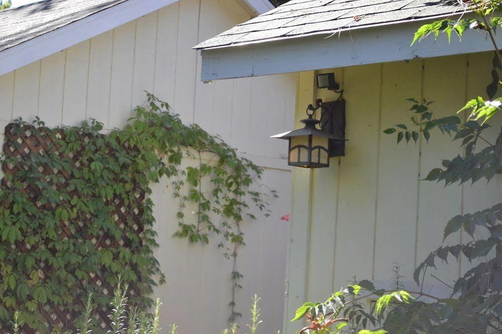 Bed and Breakfast Backyard Garden Oasis Middletown Exterior foto