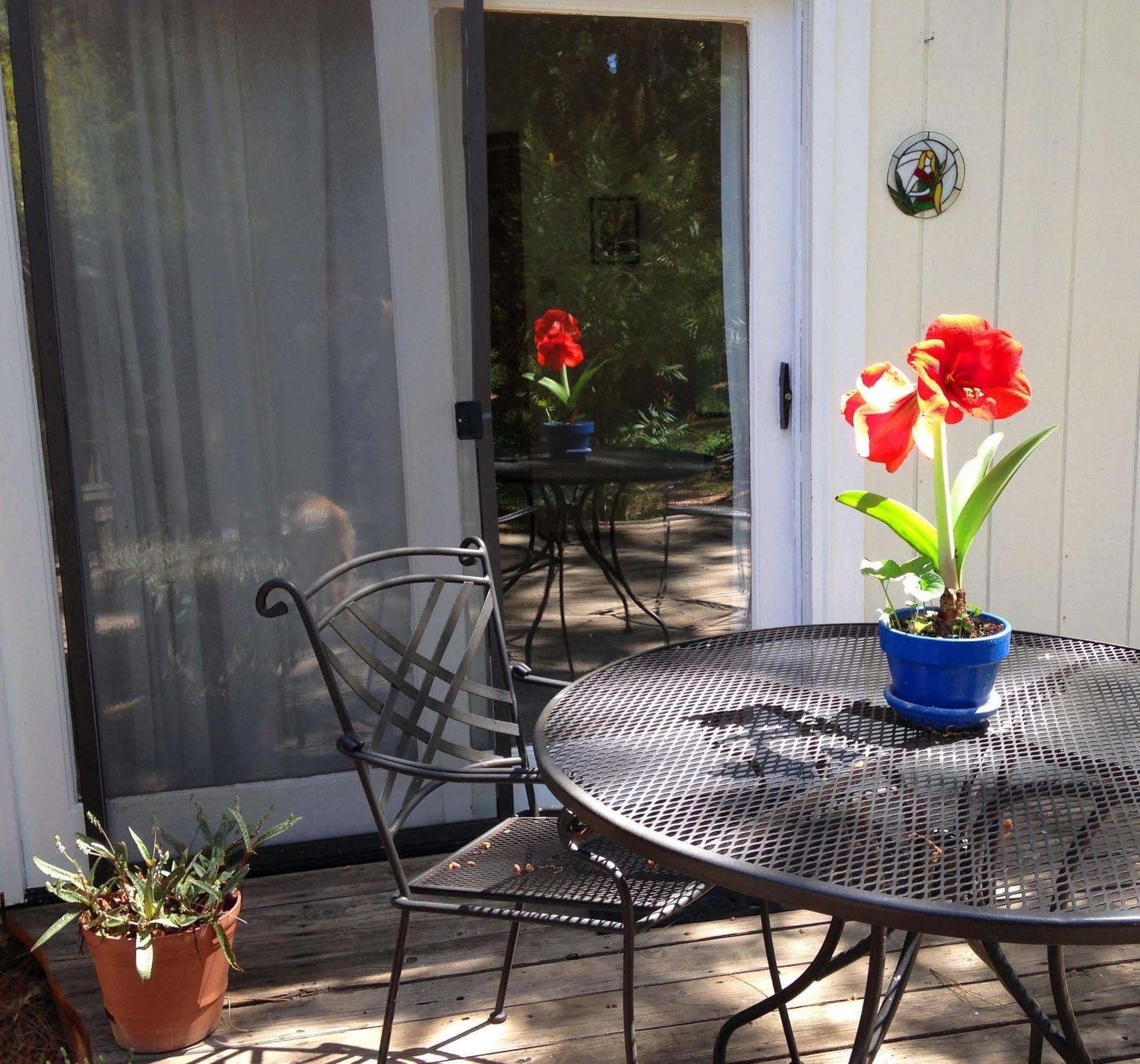 Bed and Breakfast Backyard Garden Oasis Middletown Exterior foto