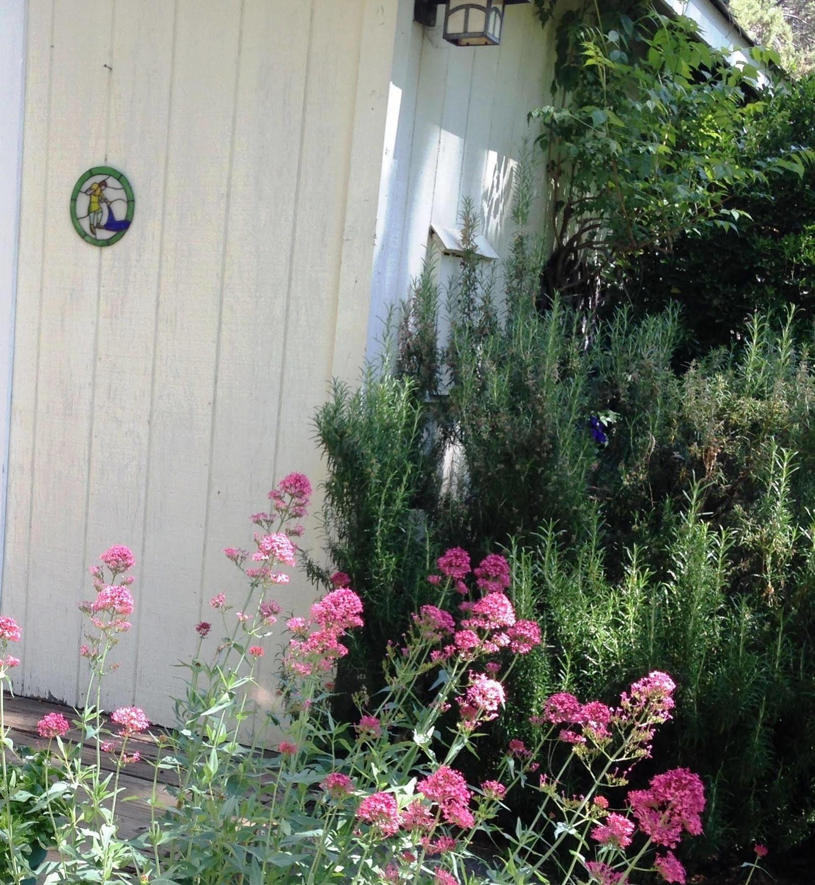 Bed and Breakfast Backyard Garden Oasis Middletown Exterior foto